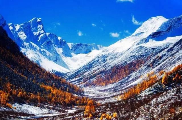 -12℃！九江发布寒潮蓝色预警！江西启动四级应急响应